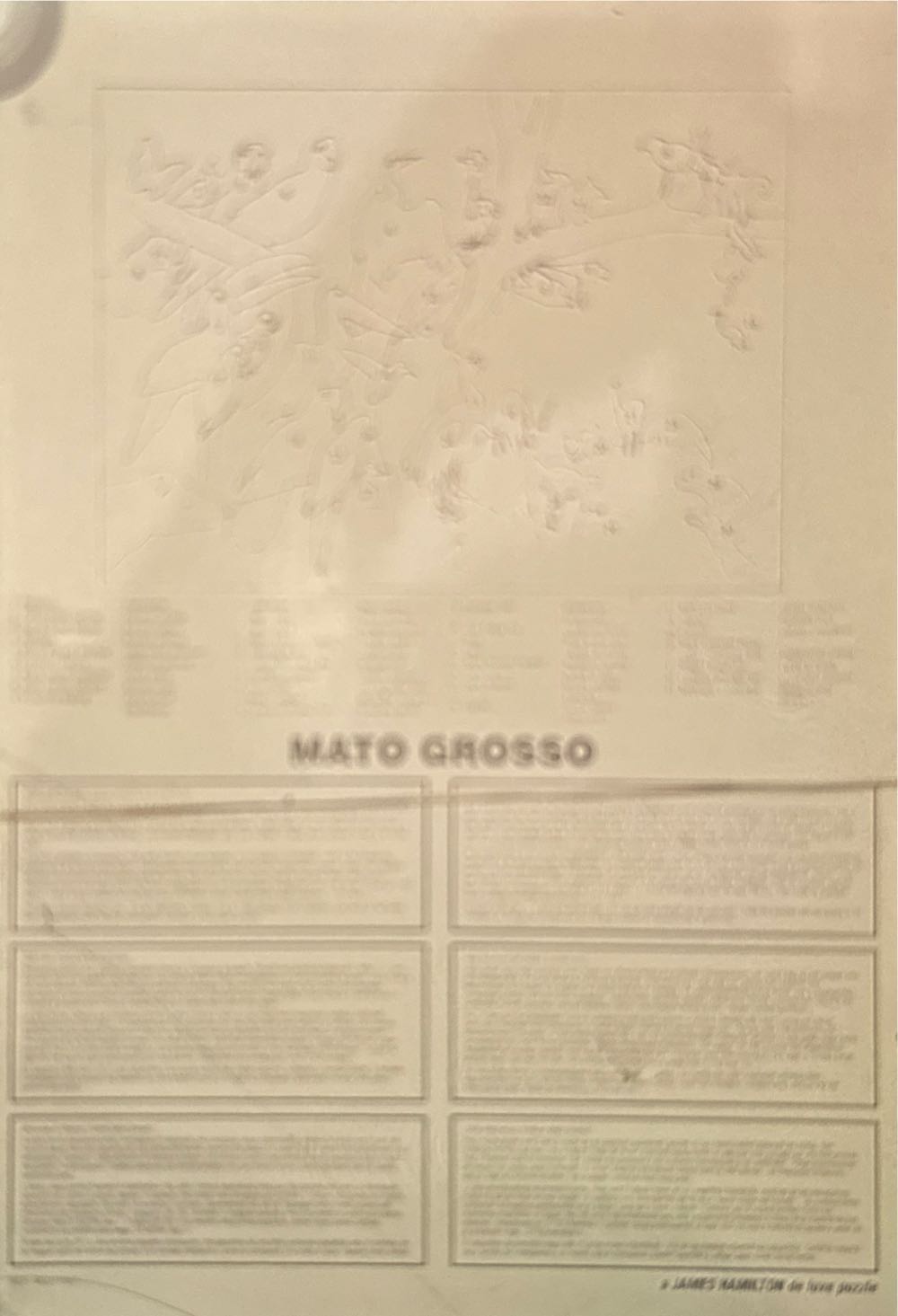 Mato Grasso - de luxe jigsaw puzzle collectible - Main Image 2