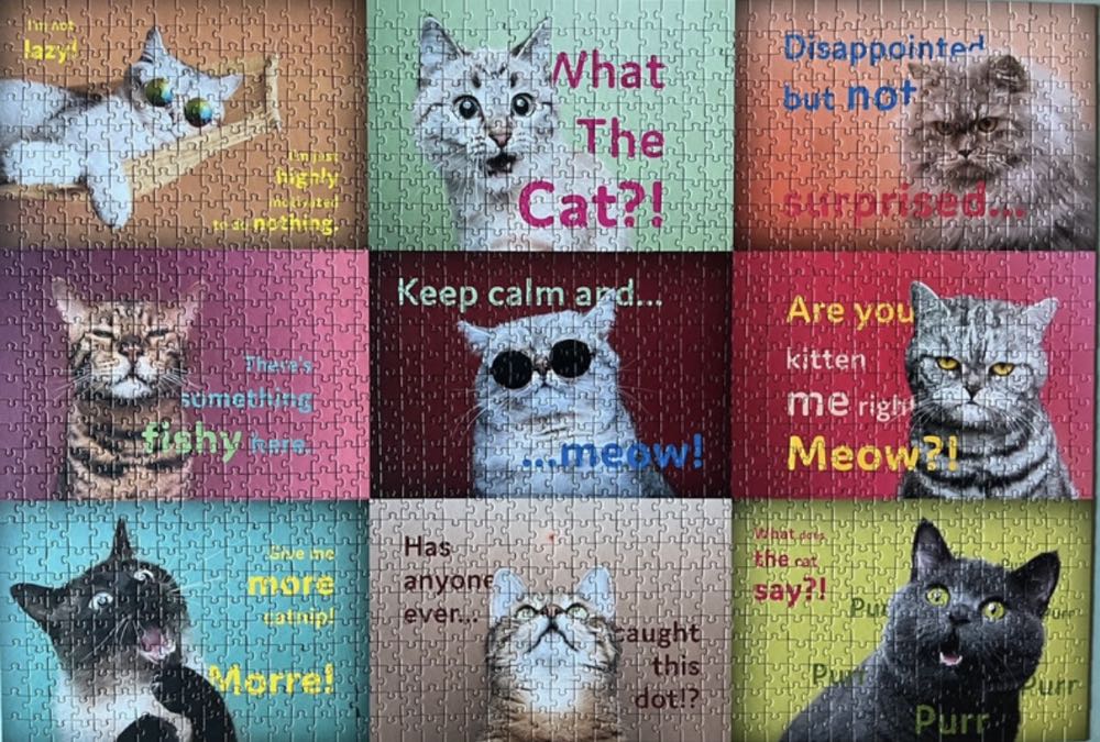 Funny Cats Faces 🟦 - Trefl puzzle collectible [Barcode 5900511262124] - Main Image 3