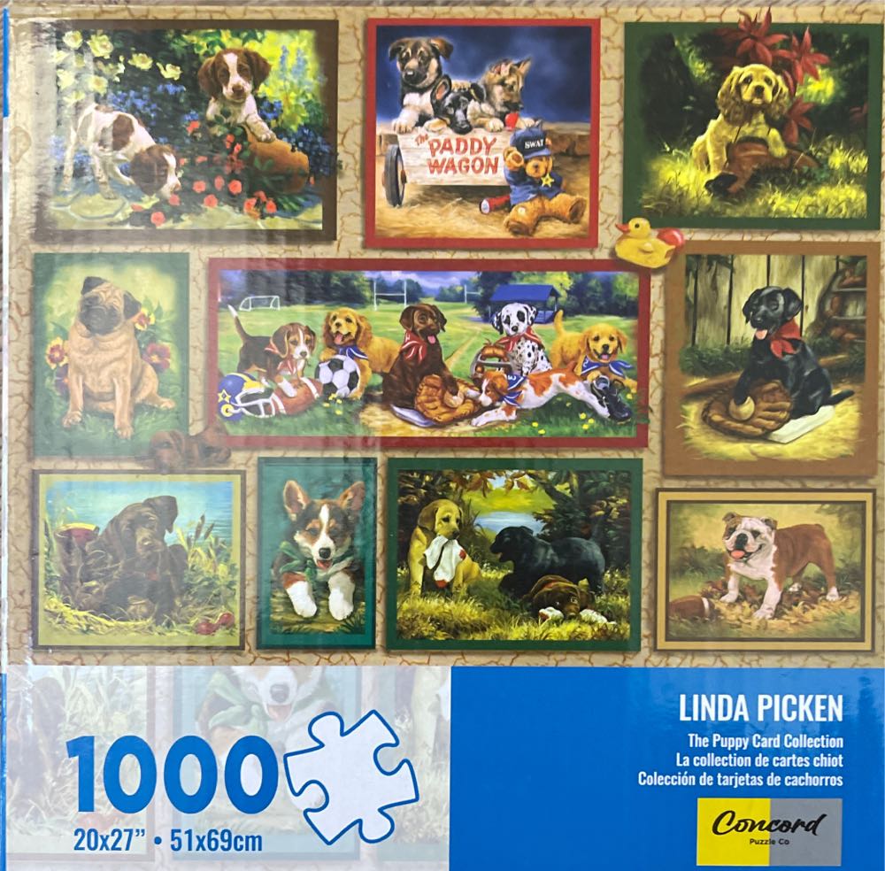 Stephen Evans: Nielsen Park