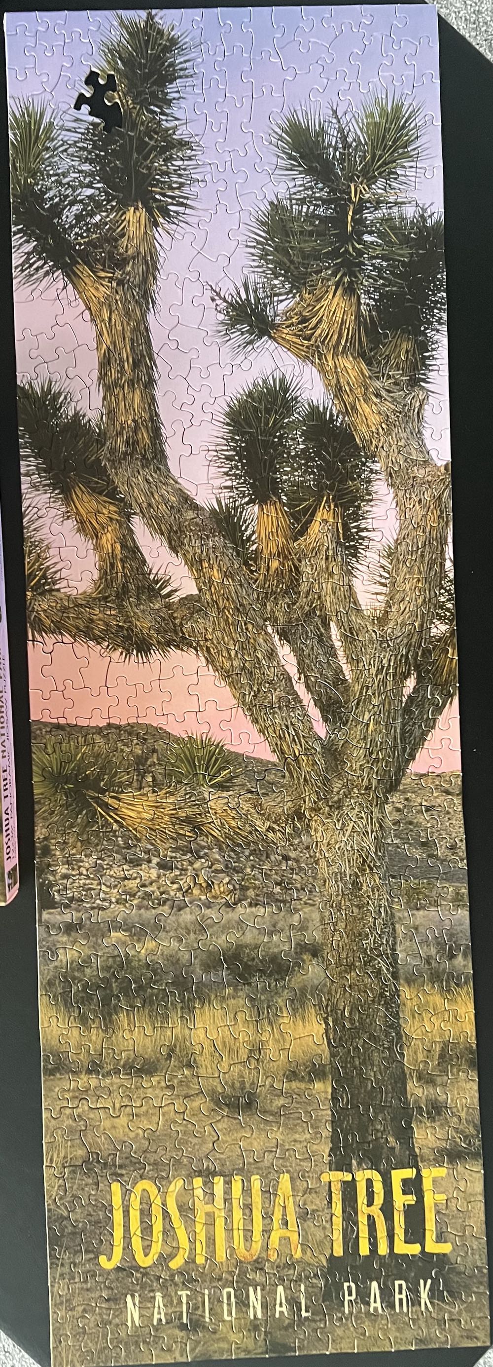 Joshua Tree National Park-843, 5/20/25 - Impact Photo Graphics puzzle collectible [Barcode 802285195286] - Main Image 2