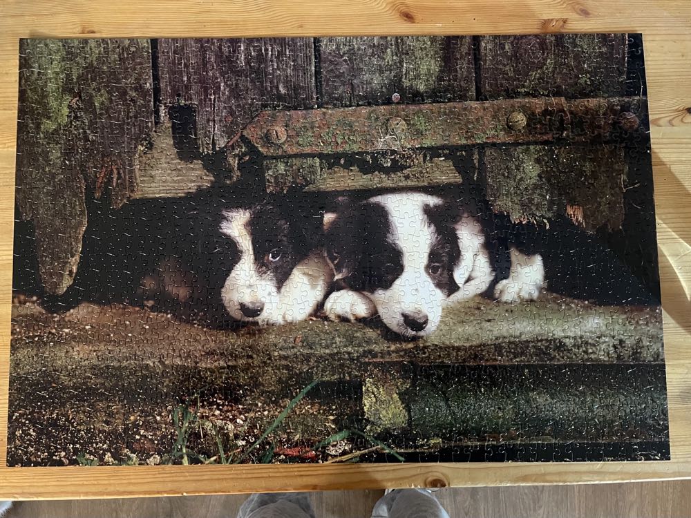 King Vakantie - Evening Capri