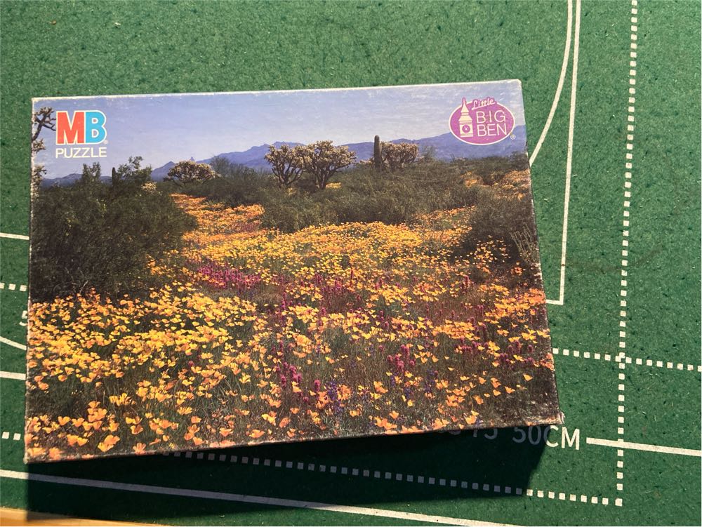 Rebo Legpuzzel Stukjes Gosausee Austria