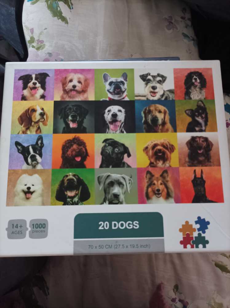 With The Storytellers