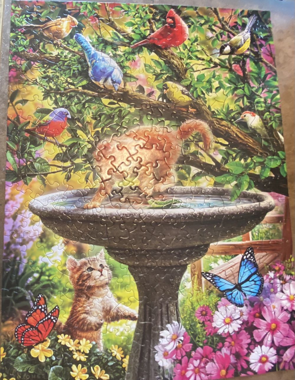 Kitten In The Birdbath - Bits And Pieces puzzle collectible [Barcode 192949089069] - Main Image 2