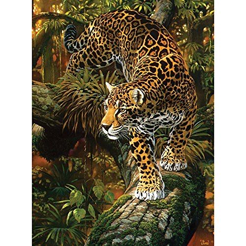 Educa 3000 Piece Puzzle Manhattan Sunset