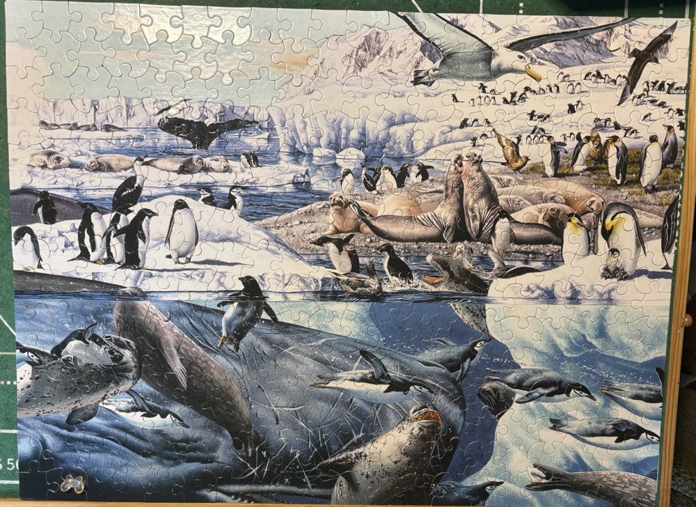 The Great Animal Search : Antarctica - Ceaco puzzle collectible [Barcode 021081022064] - Main Image 3