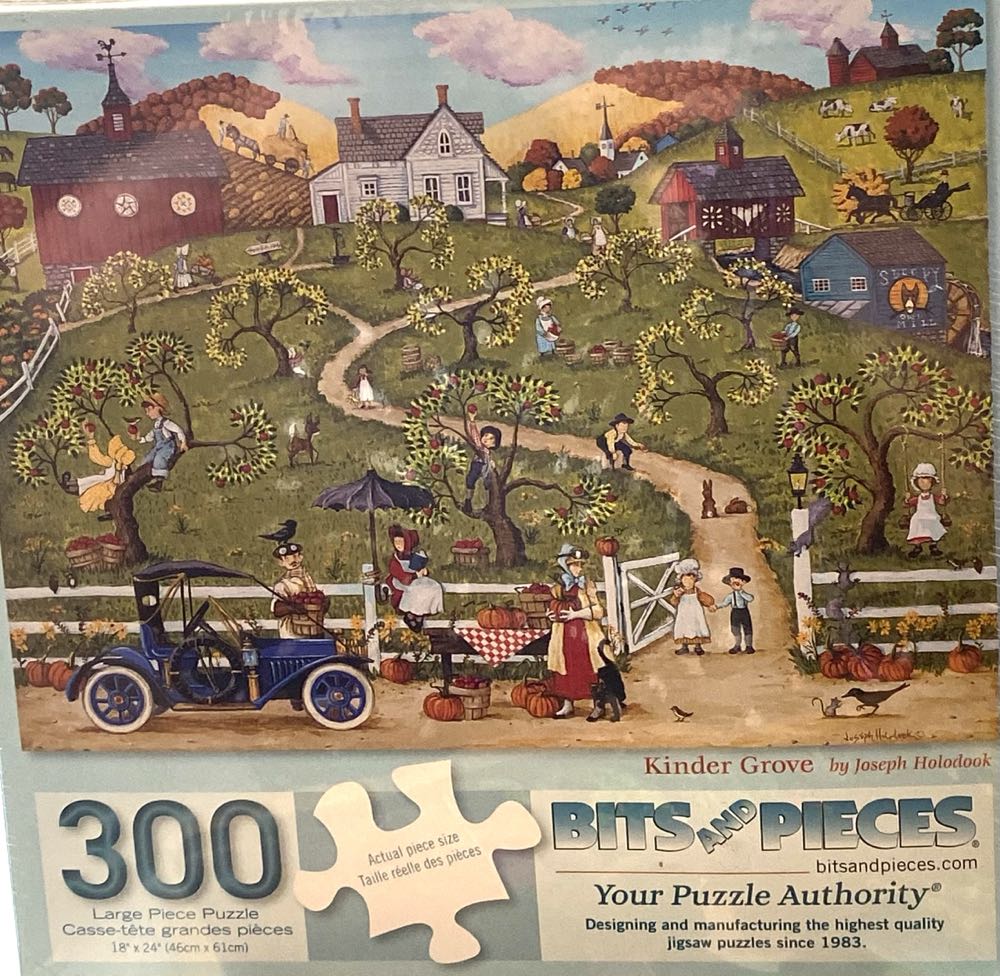 The Afternoon Visitor