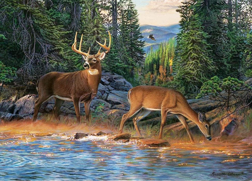 The River’s Edge - Cobble Hill puzzle collectible [Barcode 625012400336] - Main Image 2