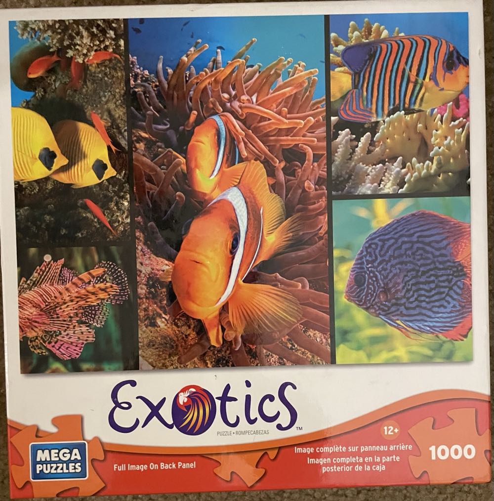 Cobble Hill Family Piece’s 350 Puzzle Desert Magic Sample Poster Included