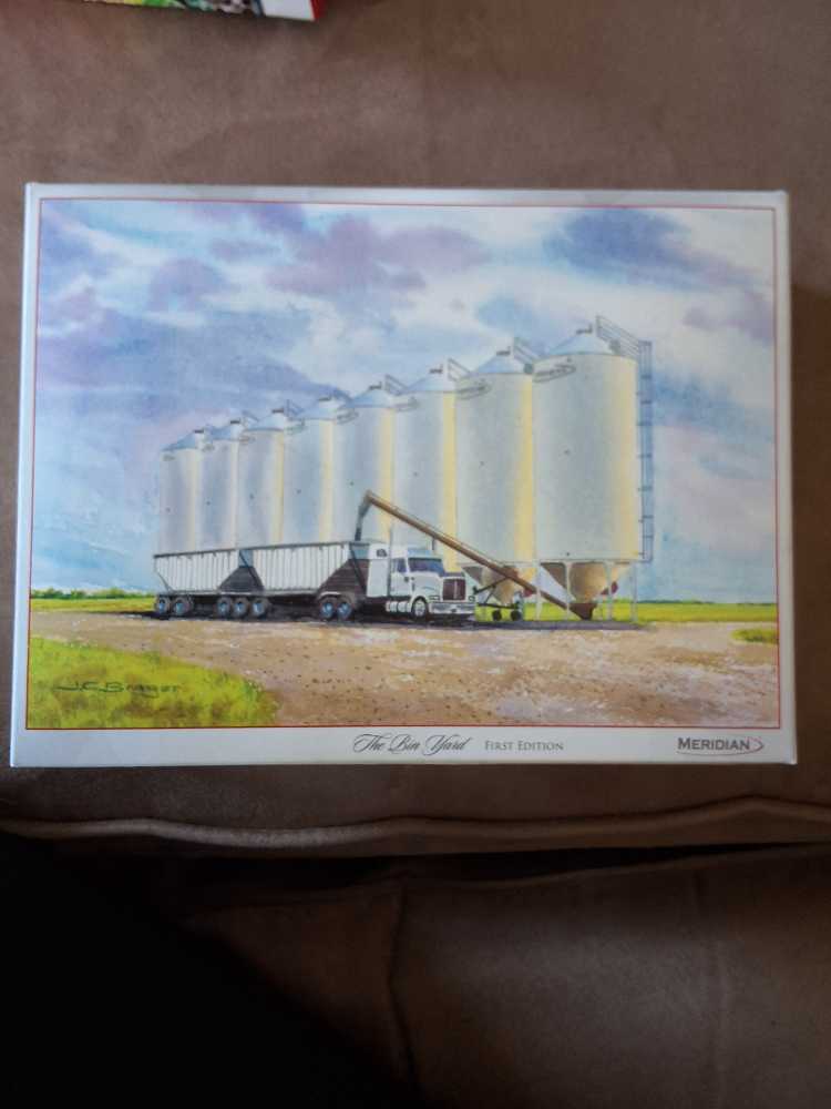 The BIN yard - meridian puzzle collectible - Main Image 2