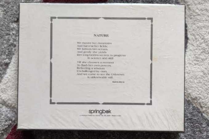 Nature’s Fury  puzzle collectible - Main Image 2