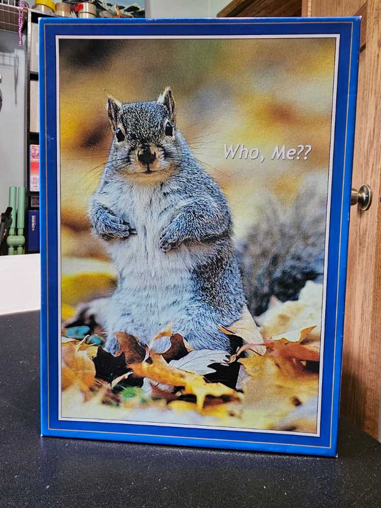 Castorland Piece Jigsaw Puzzles Art Gallery Paintings Adult Puzzle Castorland C-105212-2