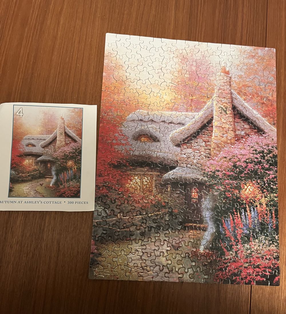 Cobble Hill Family Piece’s 350 Puzzle Desert Magic Sample Poster Included