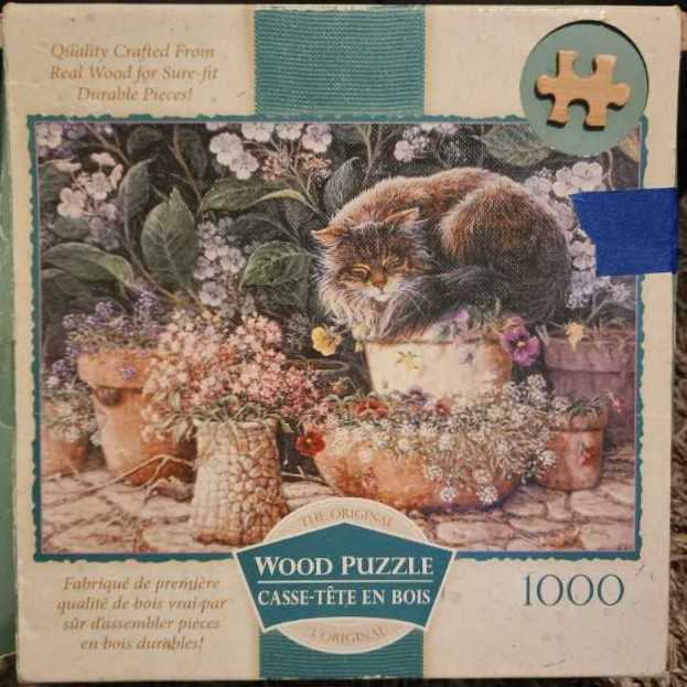 Funny Cats Faces 🟦