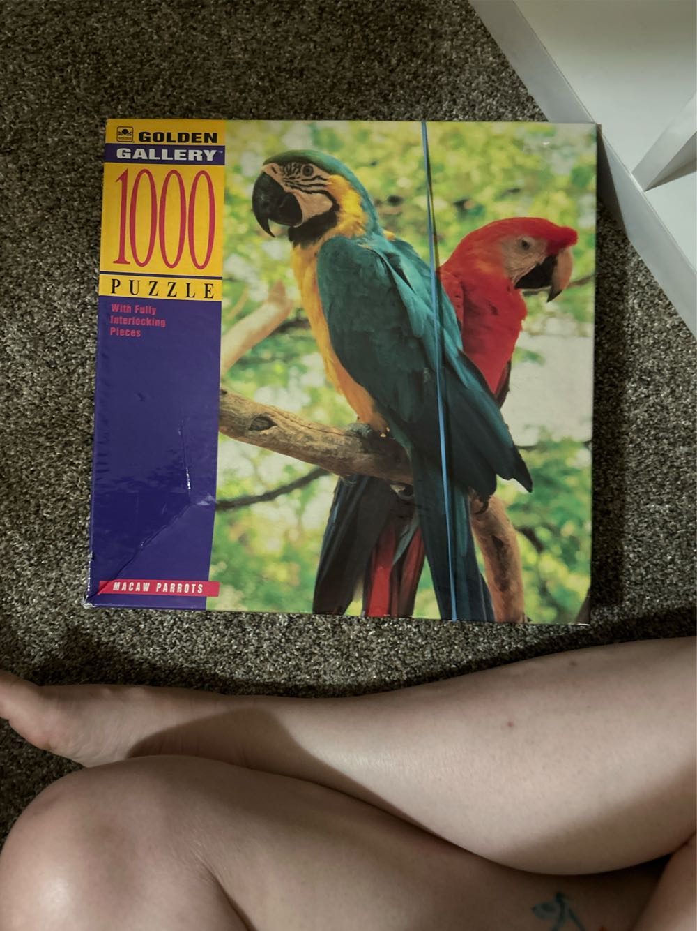 Joshua Tree National Park-843, 5/20/25