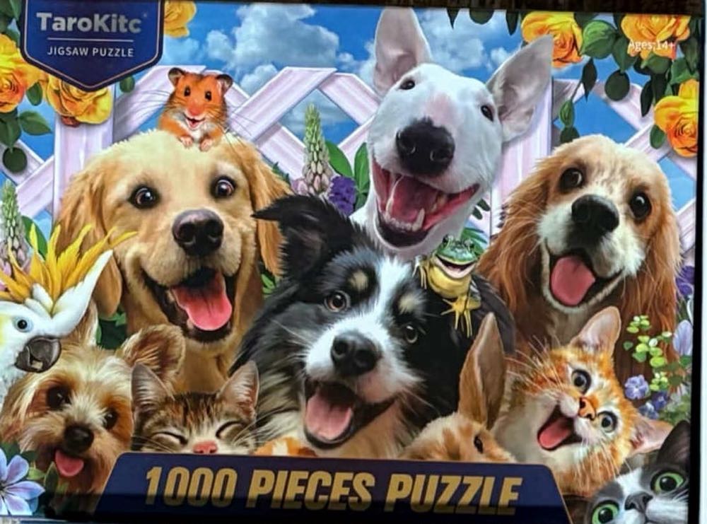 Disney Movie Moments Panoramic