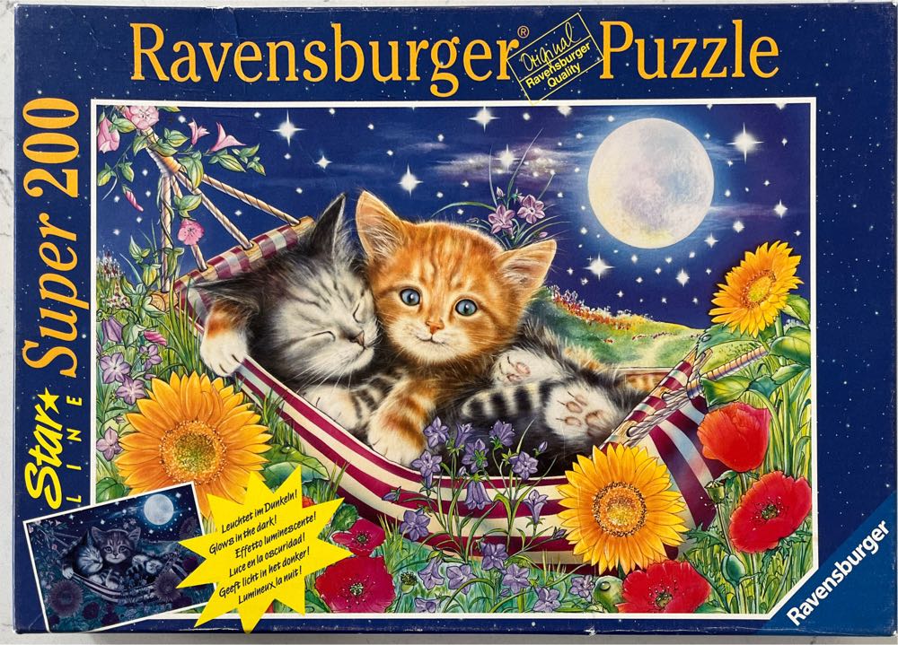 Kayomi Magnet Pintoo