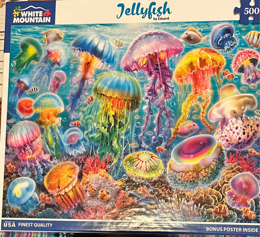 Wrapped In The Morning Light