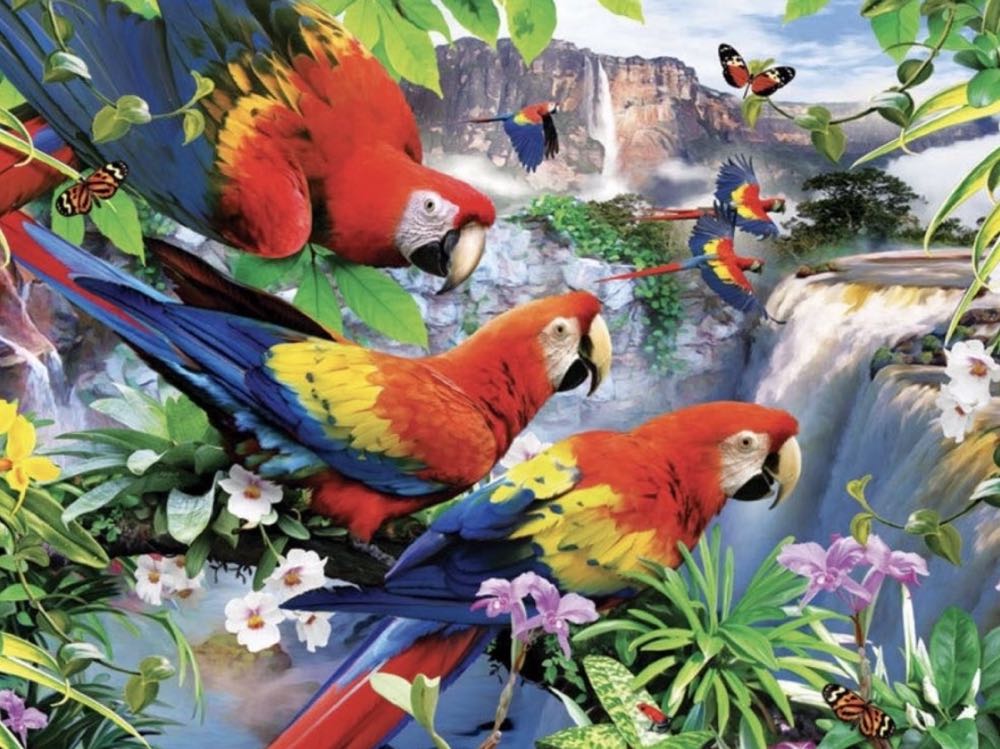 Tropical Birds • - Ravensburger puzzle collectible [Barcode 4005556135349] - Main Image 2