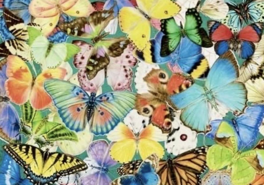 Butterflies • - Ravensburger puzzle collectible [Barcode 4005556149193] - Main Image 2