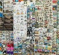 Elegant Waterlilies Enjoy