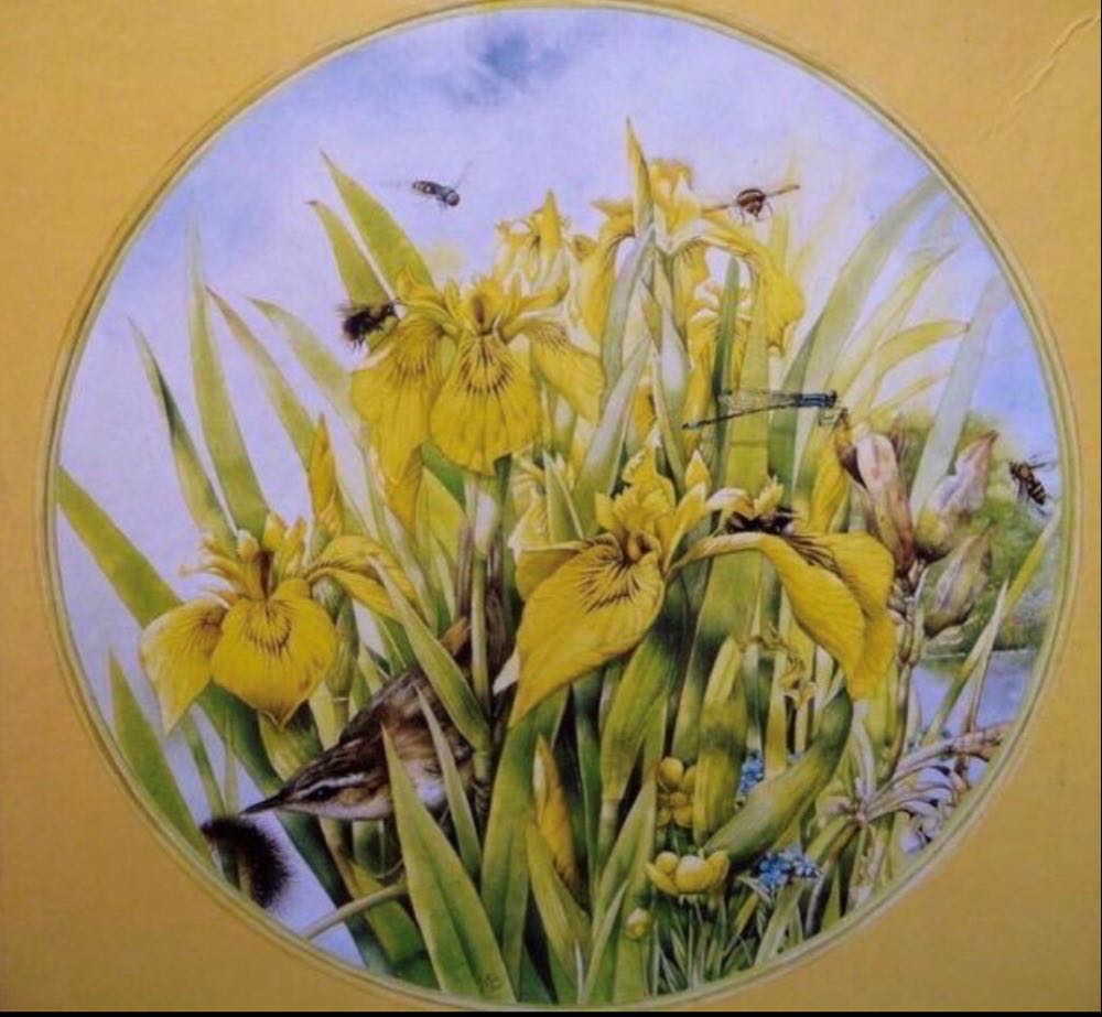 Gele Irissen/Yellow Irisses🔴 - Jumbo puzzle collectible [Barcode 8710126016015] - Main Image 2