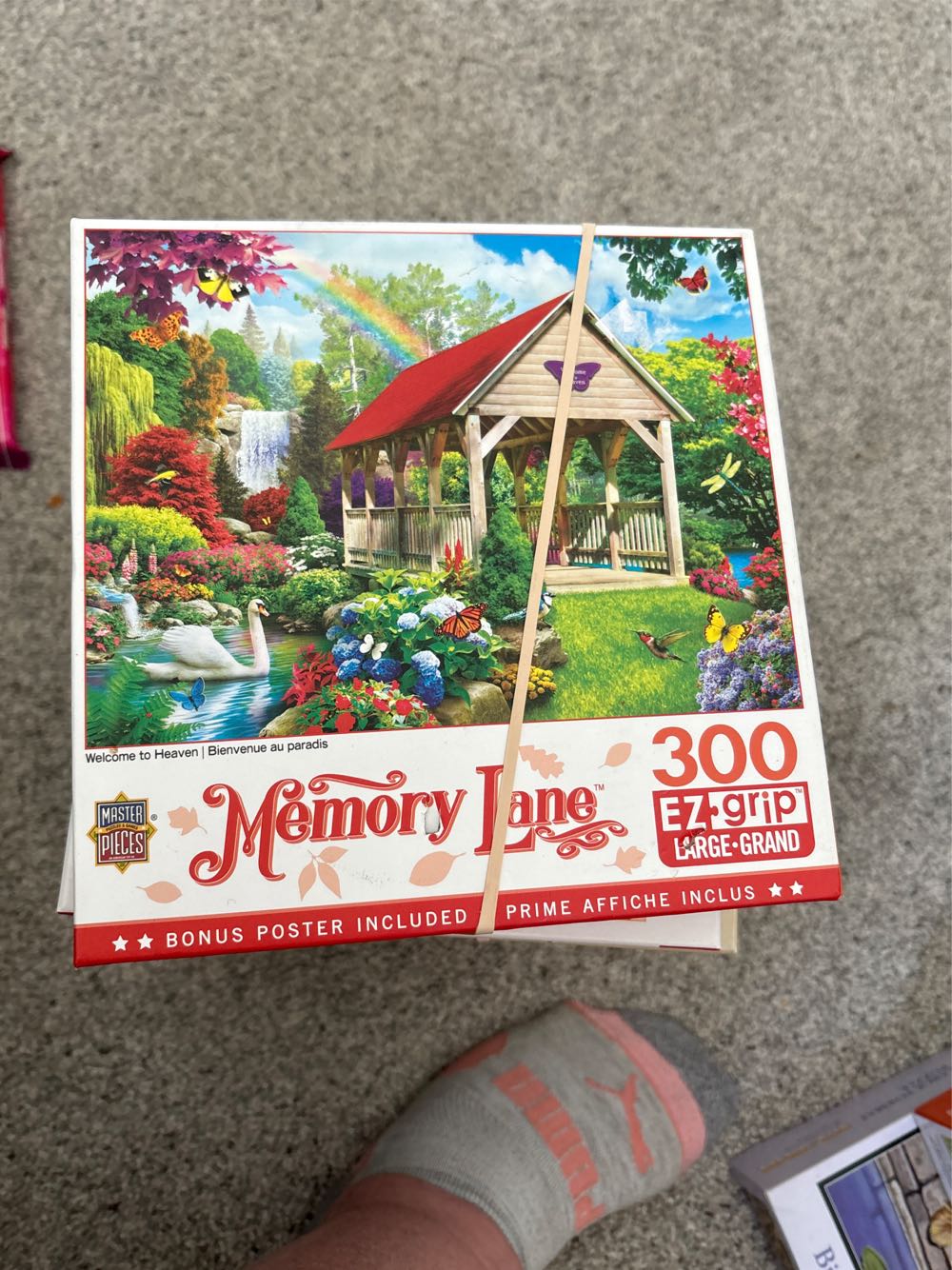 The Great Animal Search : Antarctica