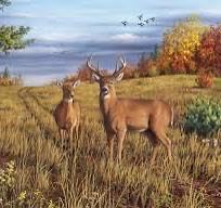 Jumbo New York Central Park Brikker Park Ny 1 000 18350 ”new York Park”