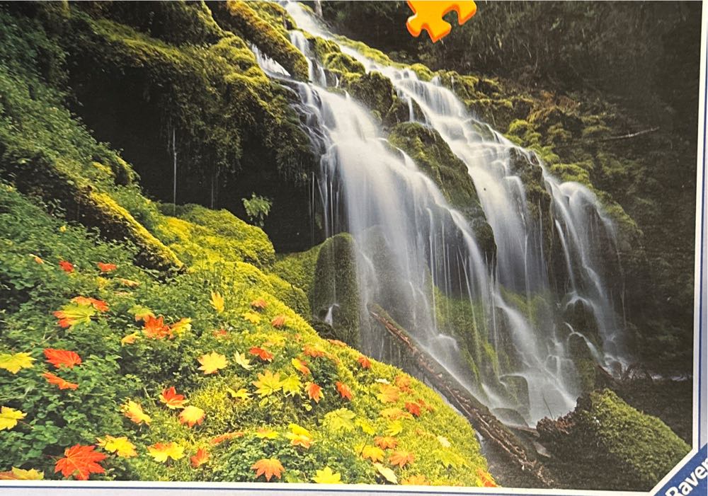 Teddy Collection Silhouette