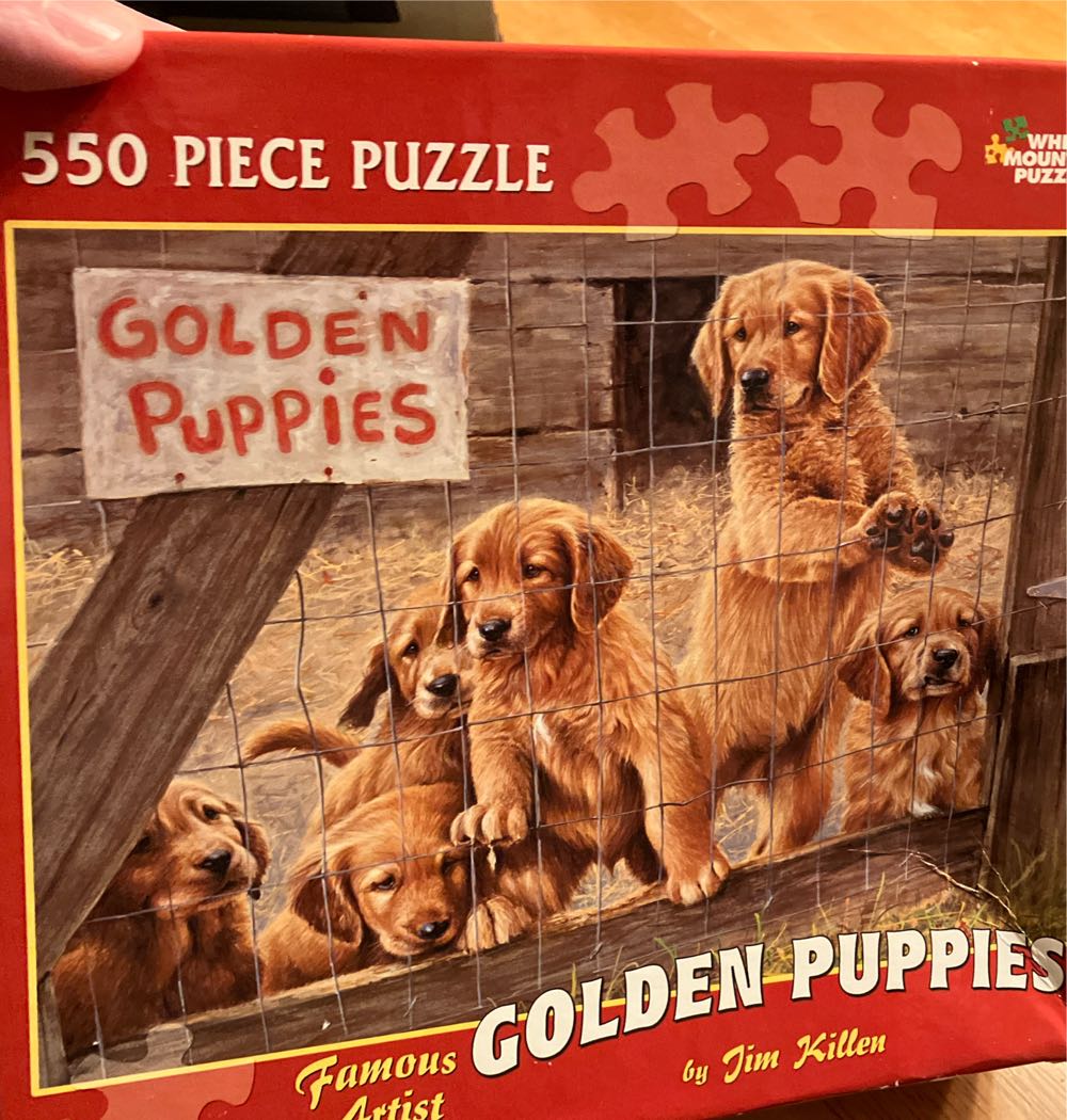 Mickey & Friends Carnival  Disney And