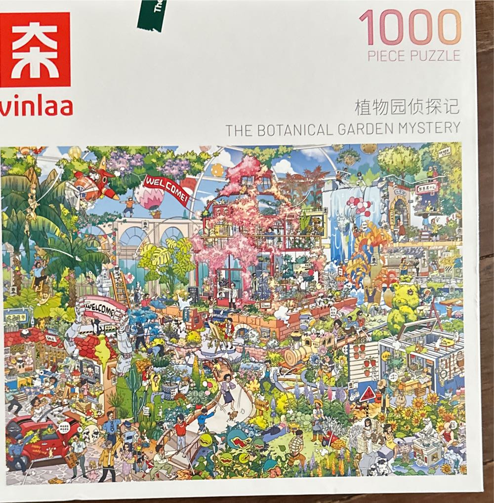 Dolphins In The Tropics