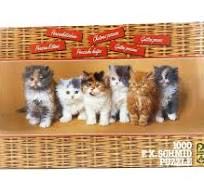 Mickey And Friends - Gotta Get Movin’