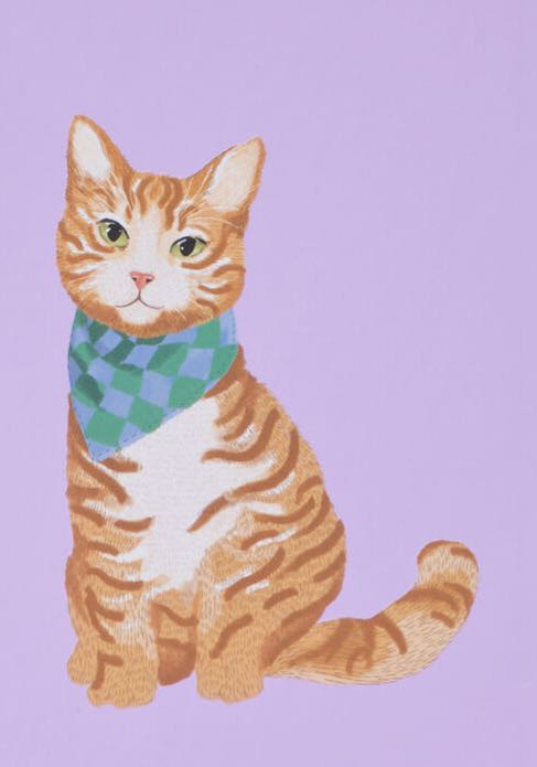 Cat 🟦 - HEMA puzzle collectible [Barcode 8720354289969] - Main Image 2