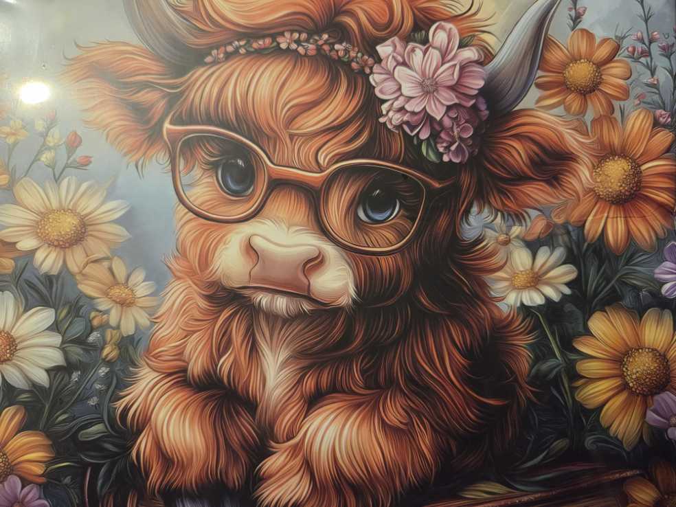 Educa Puzzle Of Pieces For Adults | Orcas And Wolves. Includes Service Of Lost Piece While Supplies Last. Measures: 136 X 96 Cm. From 14 Years 20259