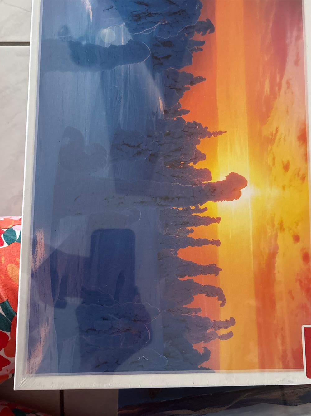 Des Racines Et Des Ailes Vue Sur Falaises