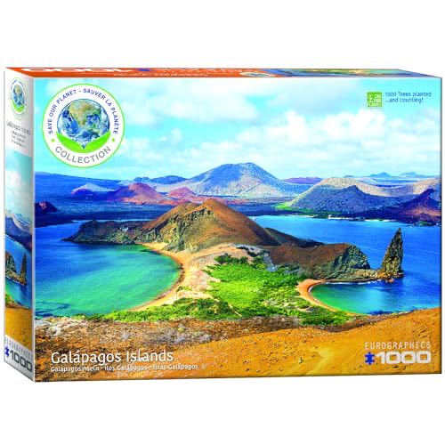 Kitty’s Treat (Andrea)