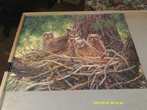 Walt Disney: Donald Duck