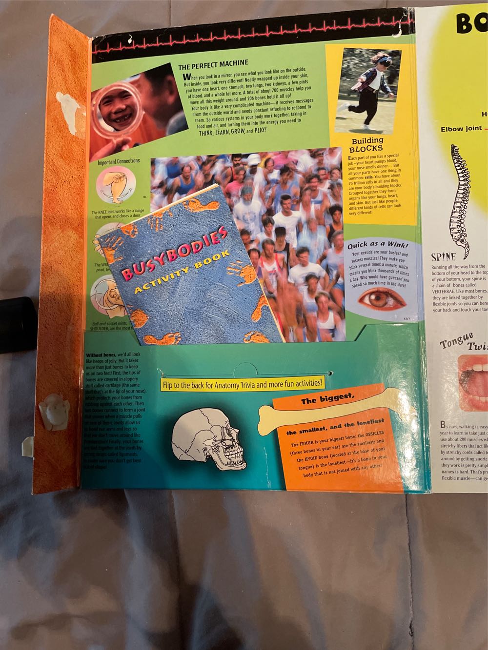 my Big Block Body Atlas  puzzle collectible [Barcode 776217002693] - Main Image 4