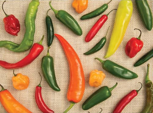 Eurographics 35-piece Classicic Fairy Tales The Jungle Book Puzzle