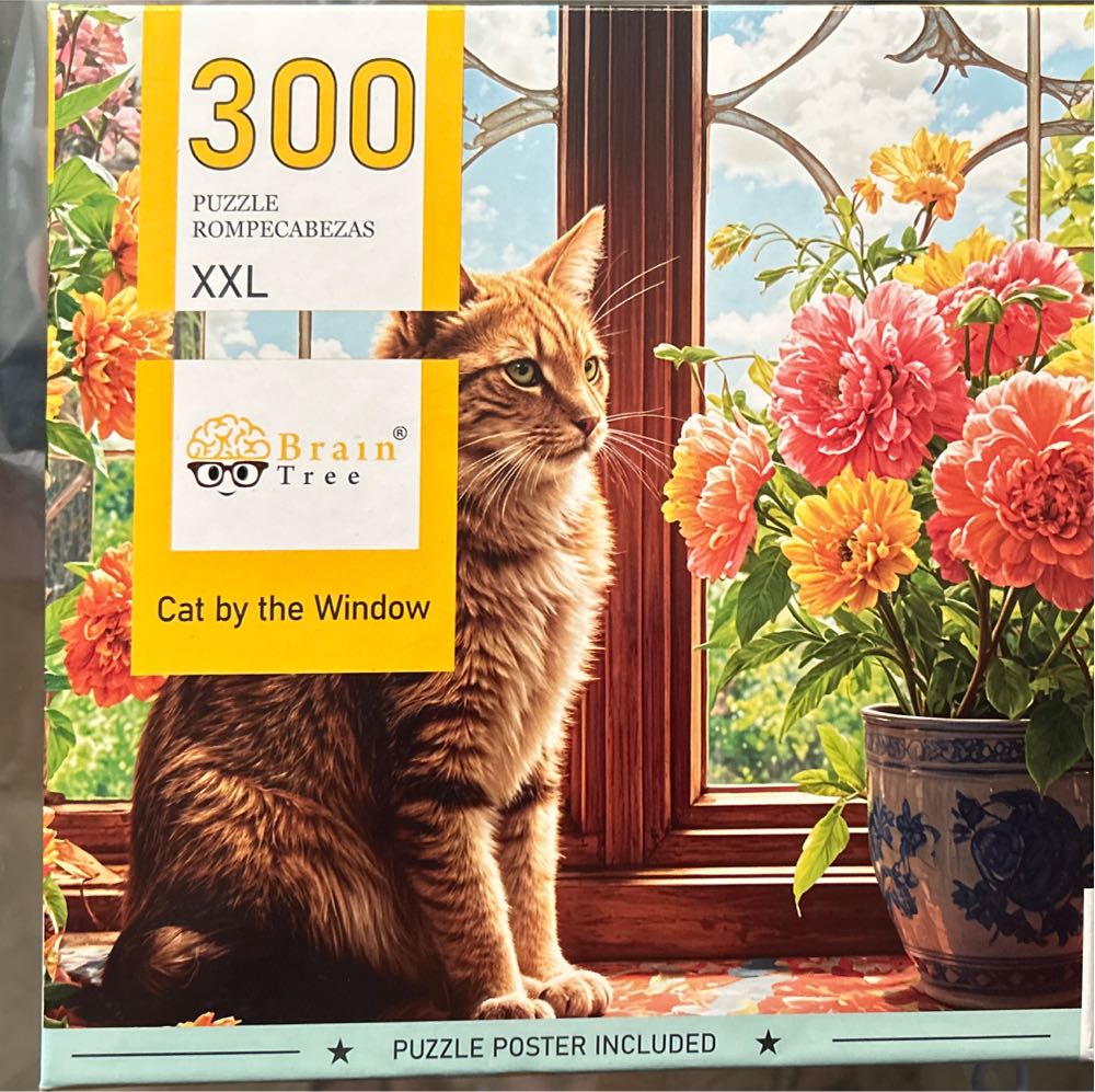 The Mysterious Trunk