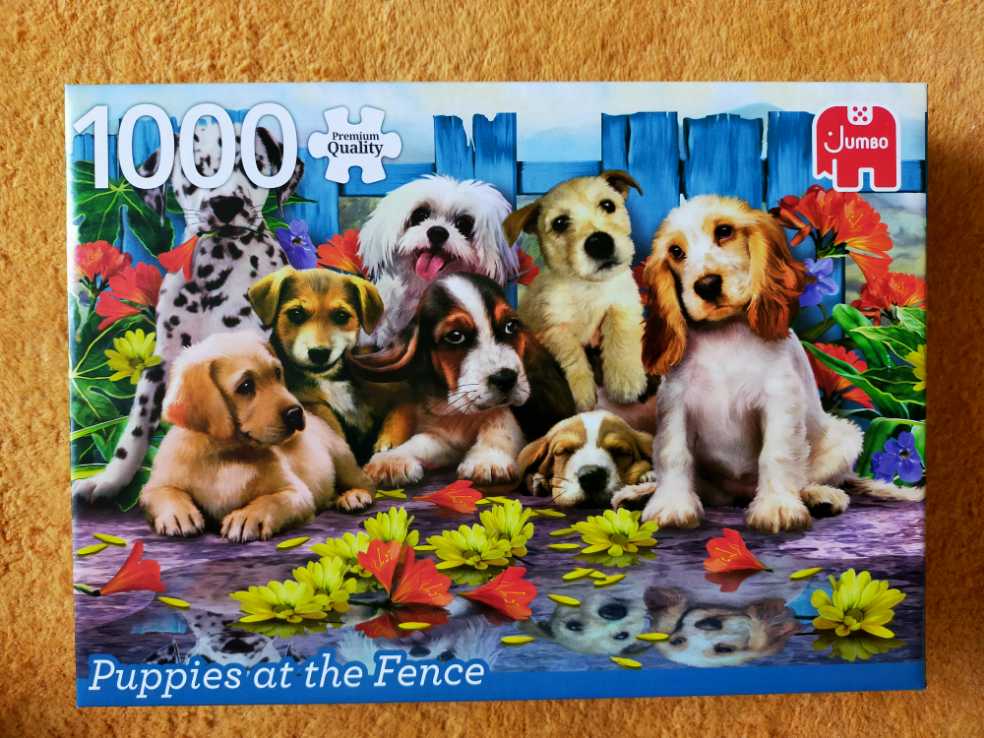 Beauty And The Beast Falling In Love