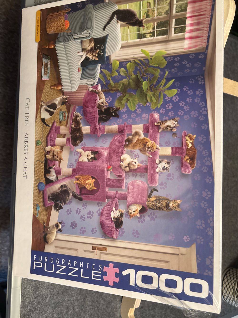 Colorful Market Flowers