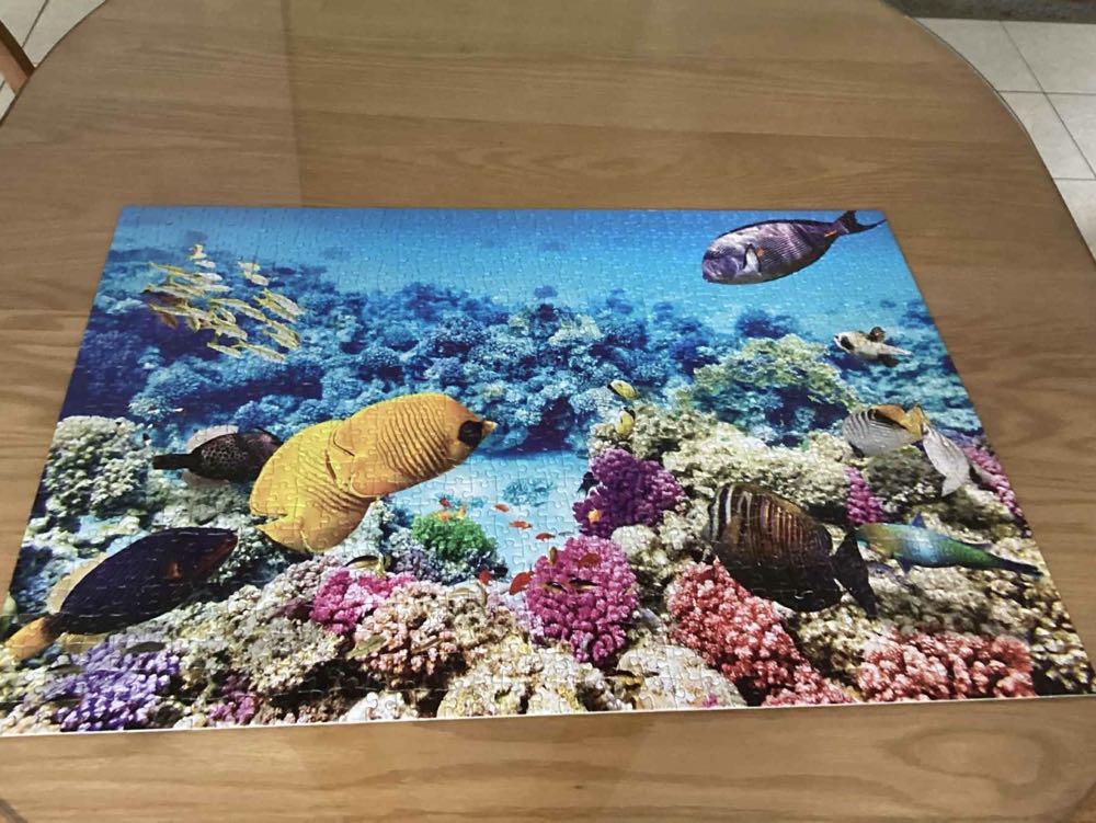 Beautiful Scenery - Puzzle China puzzle collectible - Main Image 3