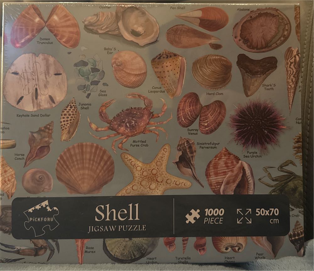 Wasgij Destiny #9 Topmodellen