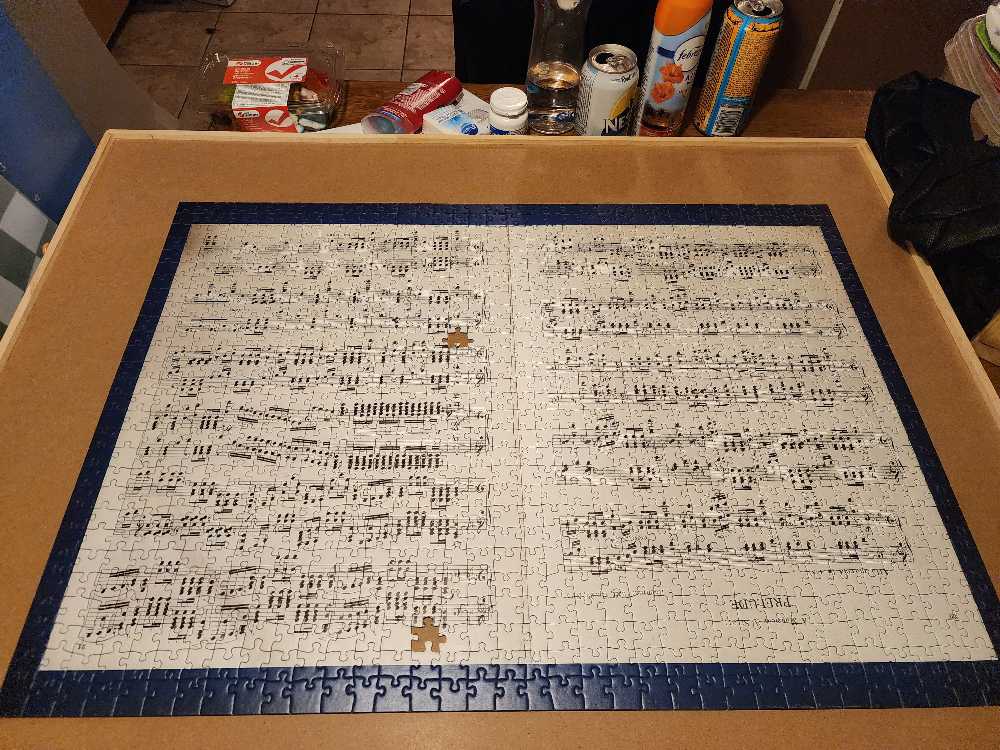 Kittens In The Flowers