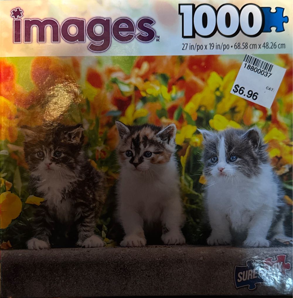 The Creation: Michelangelo