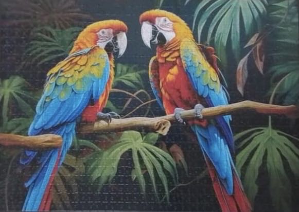 Parrots 🟦 - Jigsaw Puzzles puzzle collectible [Barcode 4068706189791] - Main Image 3
