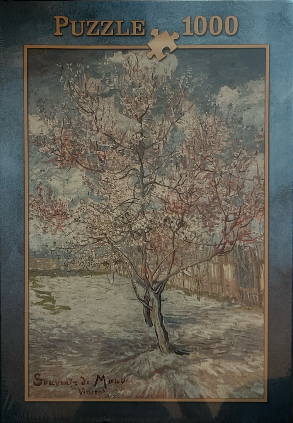 Rio De Janeiro by Night