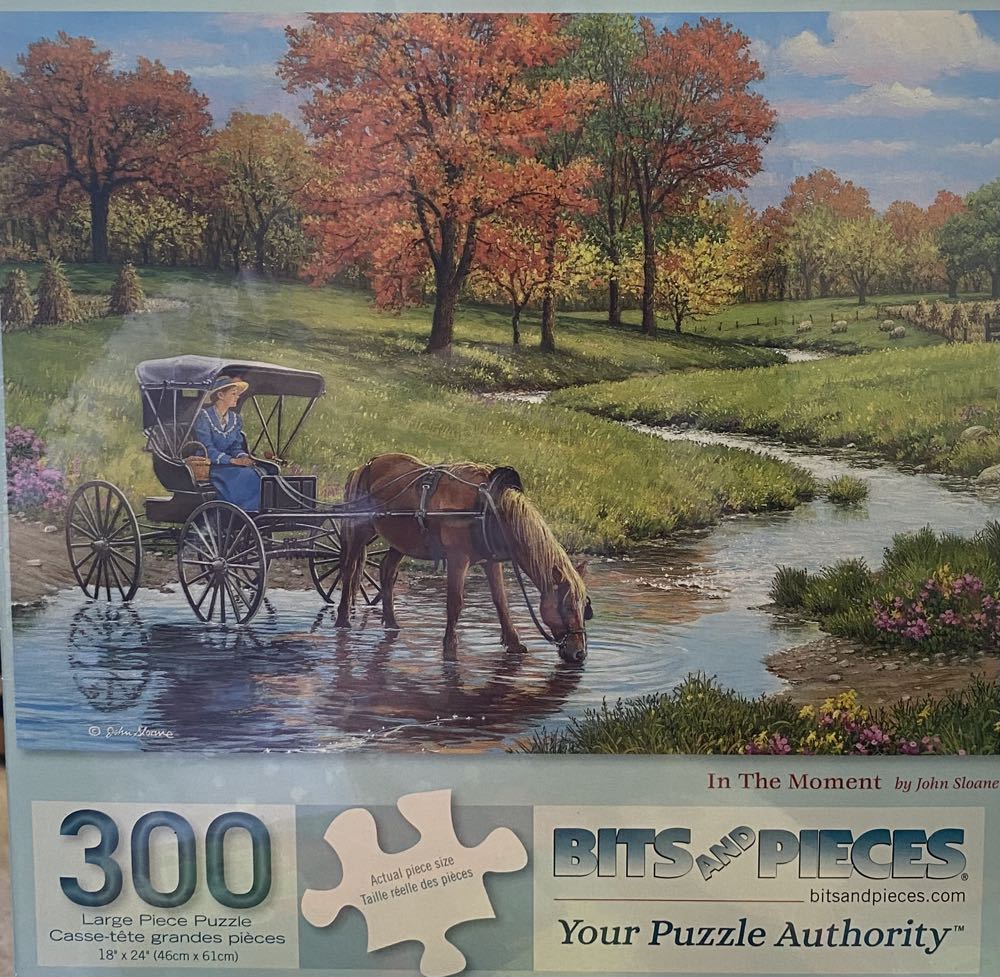 In The Moment - Bits & Pieces puzzle collectible [Barcode 192949074102] - Main Image 2