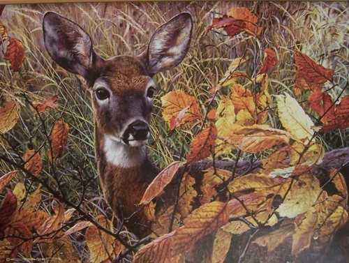 D-1000-420: Fantastic Europe